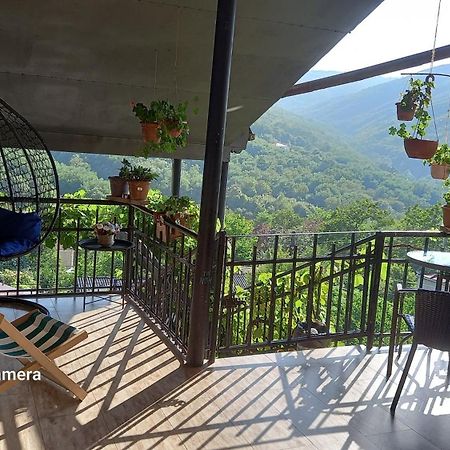 Cherqe Guest House Signagi Exterior foto
